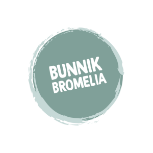 Bunnik Bromelia