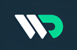 Website Design Agency