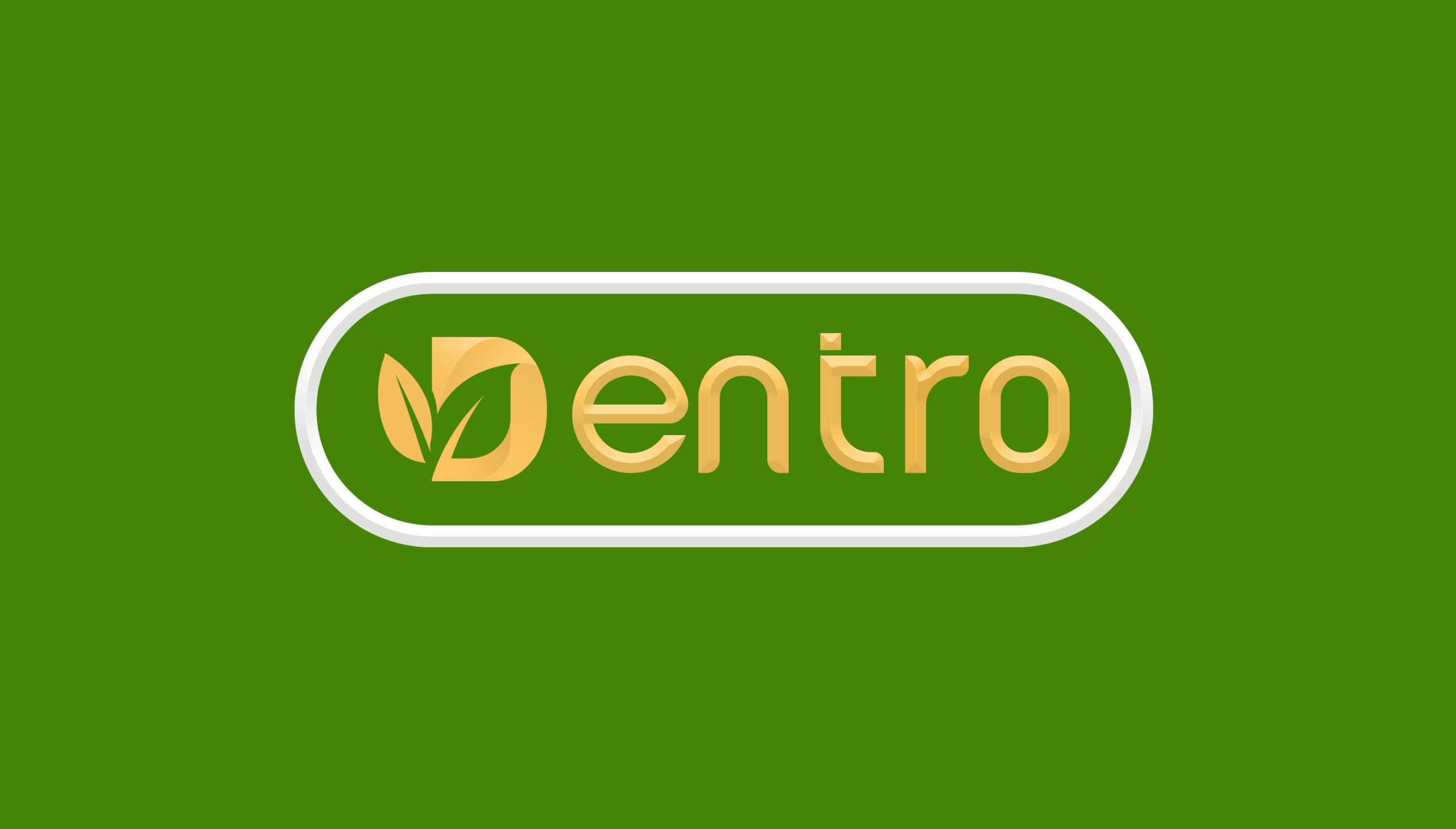 DENTRO INVESTMENT HOLDINGS