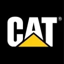 Louisiana Cat