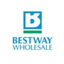 Bestway Group
