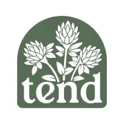 Emergent Fundraising and Consulting