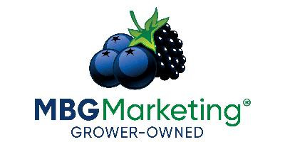 MBG Marketing