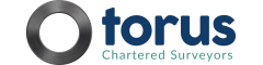 Torus Surveyors