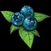 Blueberry Hill Rehabilitation and Healthcare Center