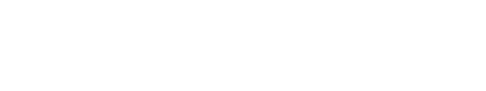 ESQUIRE DEPOSITION SOLUTIONS LLC