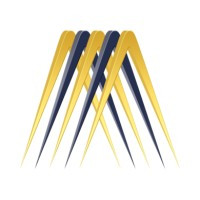 MetaSense Inc