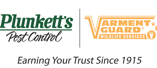Plunketts Pest Control