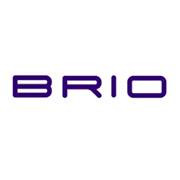 BRIO Physical Therapy Health Performance BRIOworks
