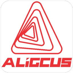 ALIGCUS Inc