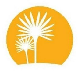 Palmetto Dunes Oceanfront Resort