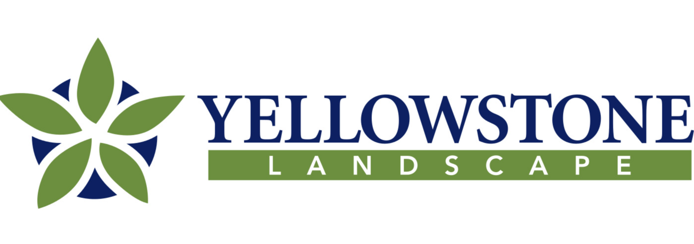 Yellowstone Landscape