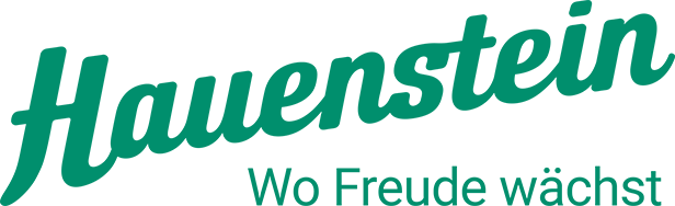 Hauenstein AG
