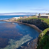 Tanaq Technical Services