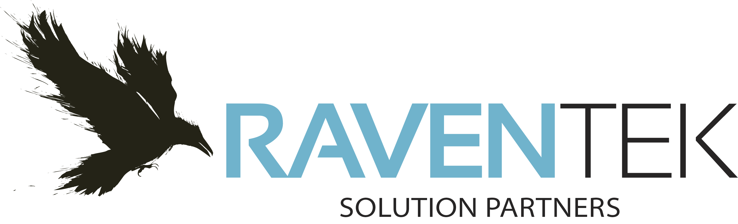 Raventek Solution Partners LLC