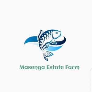 Masenga Farms