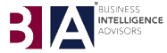 Business Intelligence Advisors