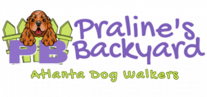 Praline's Backyard Dog Services