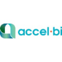 accel bi corporation