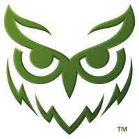 jade owls