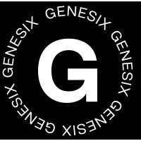 Genesix - Aceleradora de Marketing Digital e IA