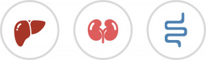 Products for Hepatic Metabolism