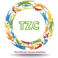 Talent Zone Consultant