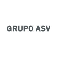Grupo ASV