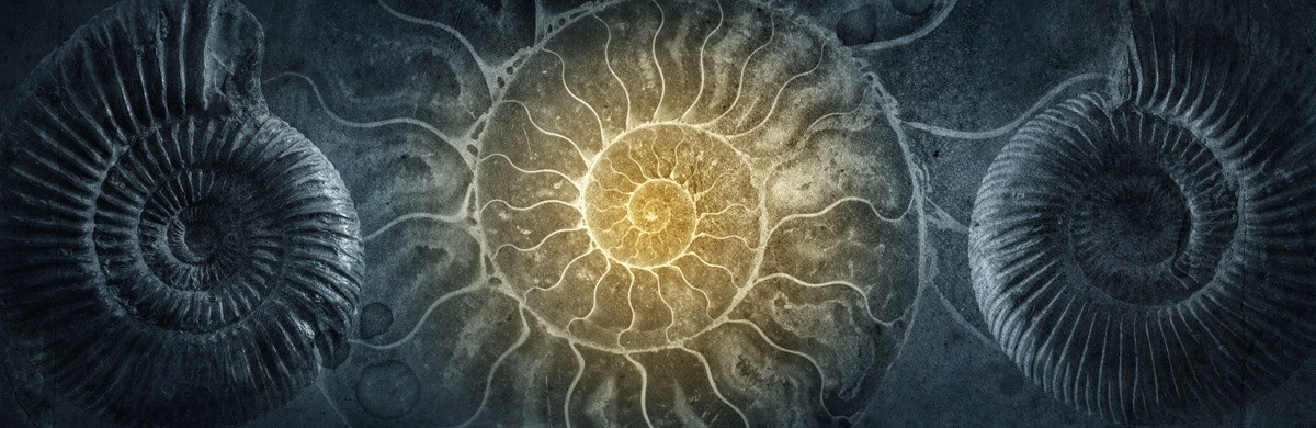 CORPWELL FOUNDATION CO