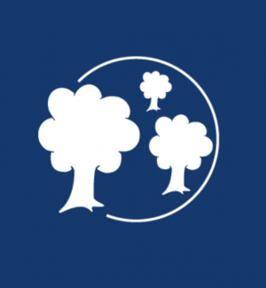 BlueOrchard Impact Investment