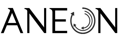 Aneon Federal Solutions