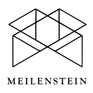 Meilenstein gUG (haftungsbeschränkt)