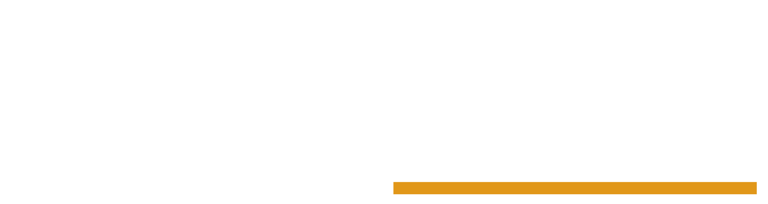 VeriCon