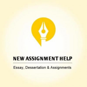 New Assignment Help UK