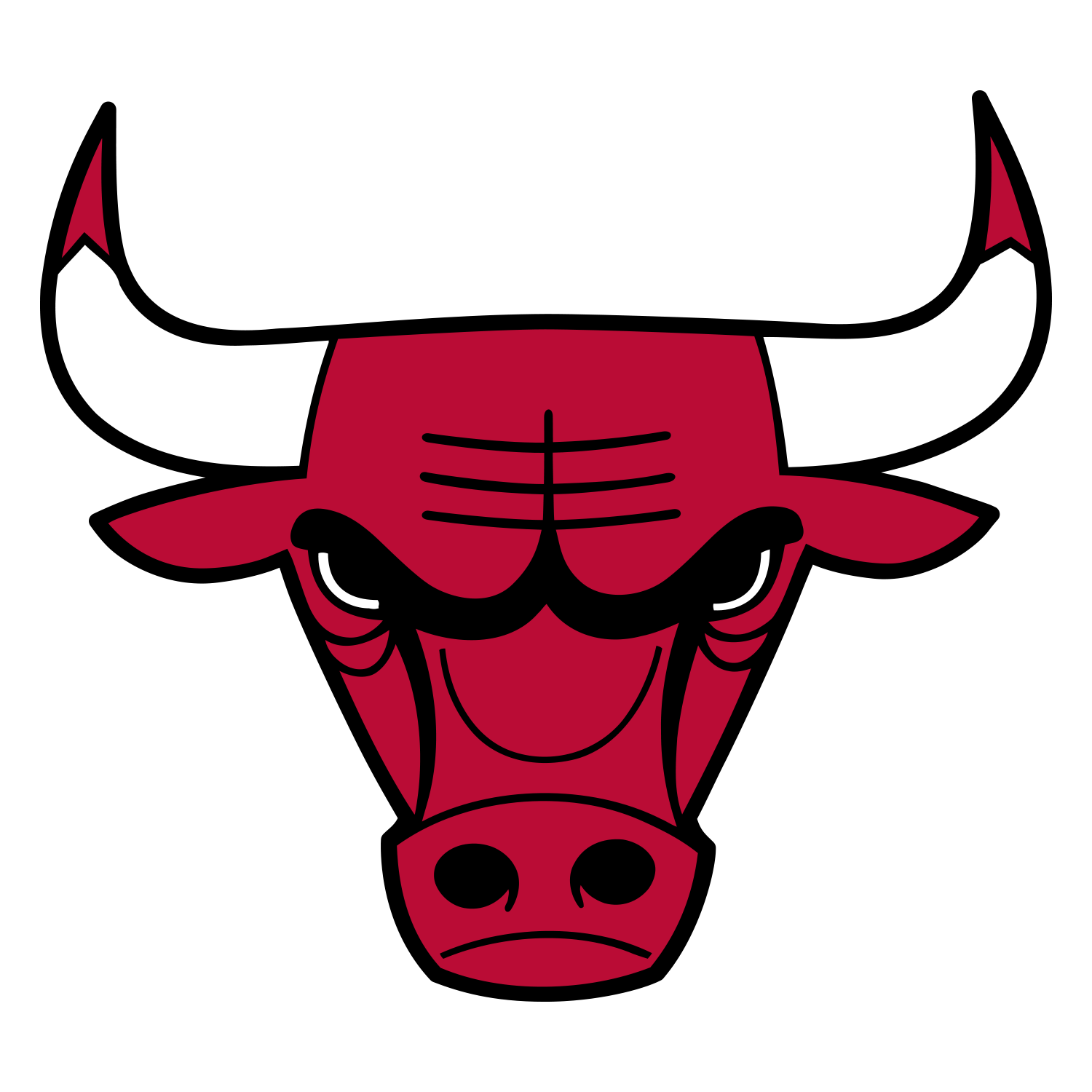 Chicago Bulls