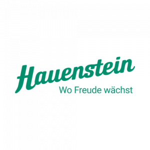 Hauenstein AG