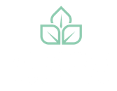 Macro Group