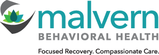 MALVERN CONSTITUTION LLC