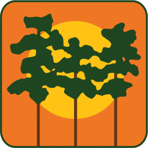 Village of Wellington