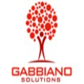 Gabbiano Solutions srl
