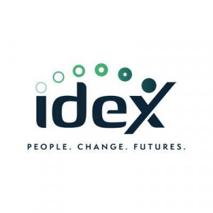 IDEX Consulting Ltd