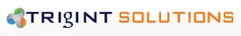 Trigint Solutions