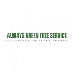 Always Green Tree Service image