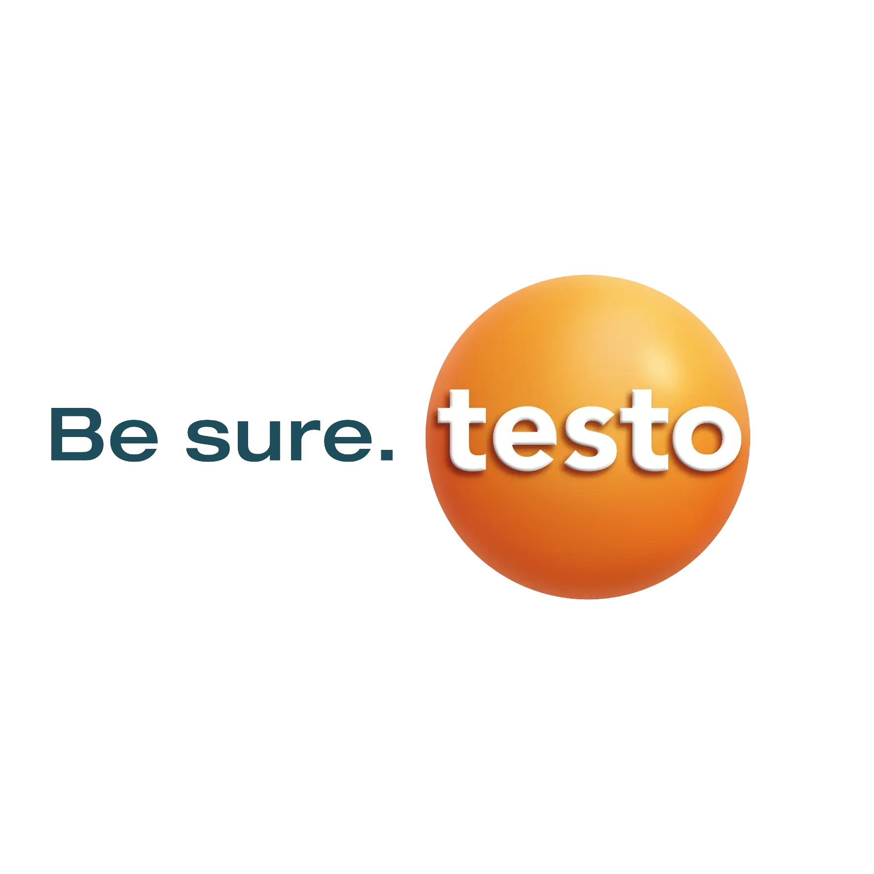 Testo Industrial Services AG