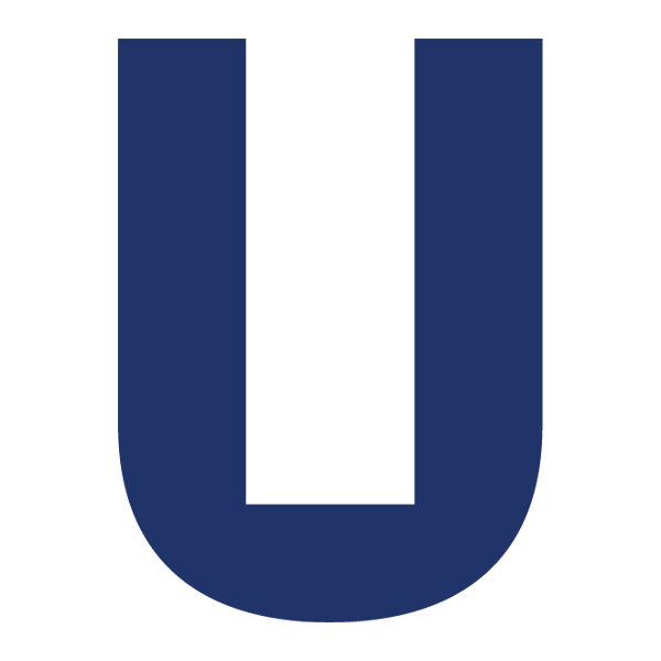 Unity Team