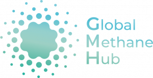 Global Methane Hub