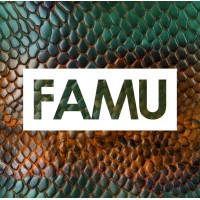 Florida Agricultural and Mechanical University