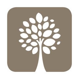 Platanus Schule Berlin