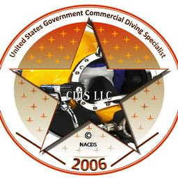 Industrial Marine Engineering Services LLC