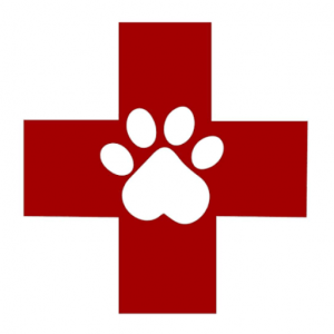 Quality Veterinary Care Centre